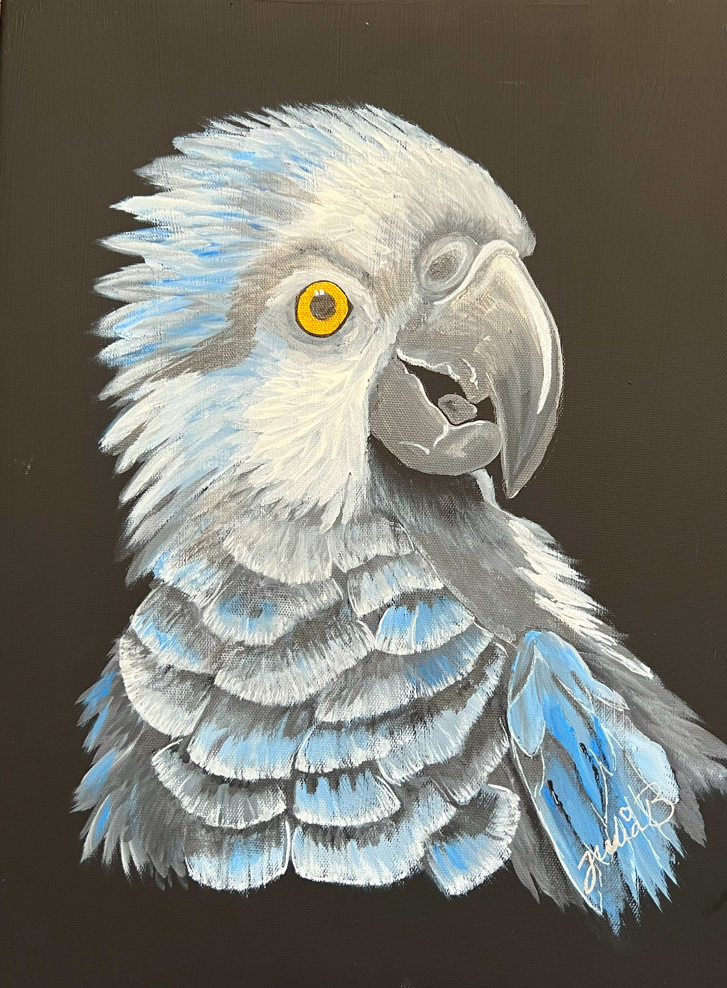 Winnie the PARROT