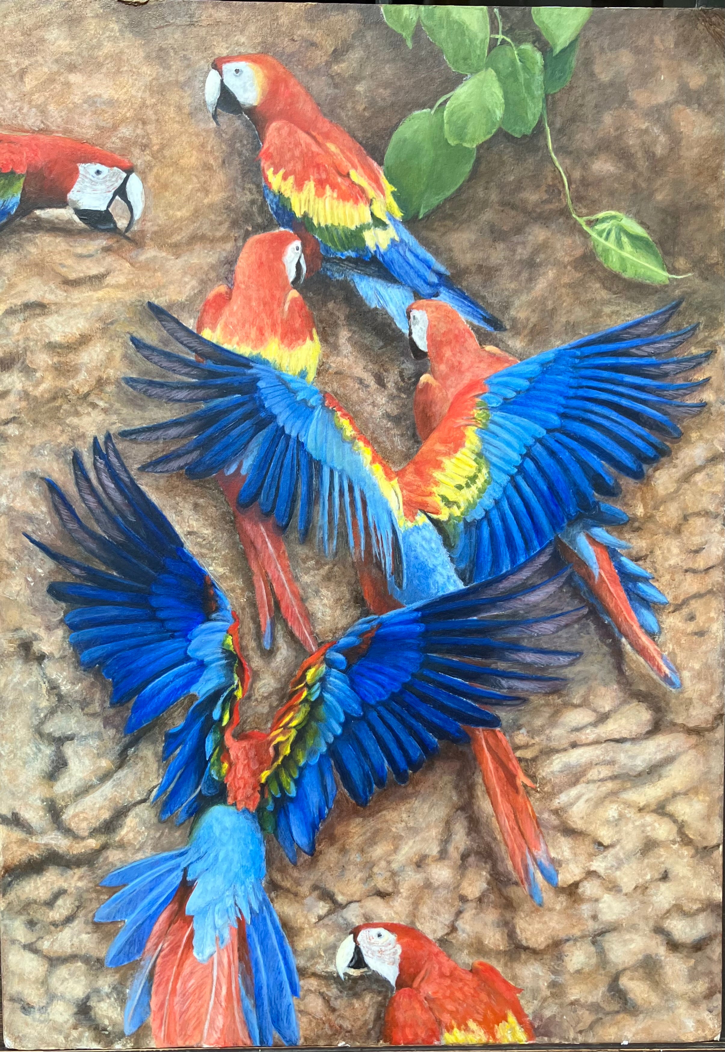 PURA VIDA