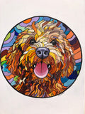 Scruff the puppy