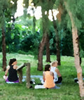 Picnic in the Trees