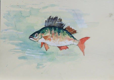 River Perch