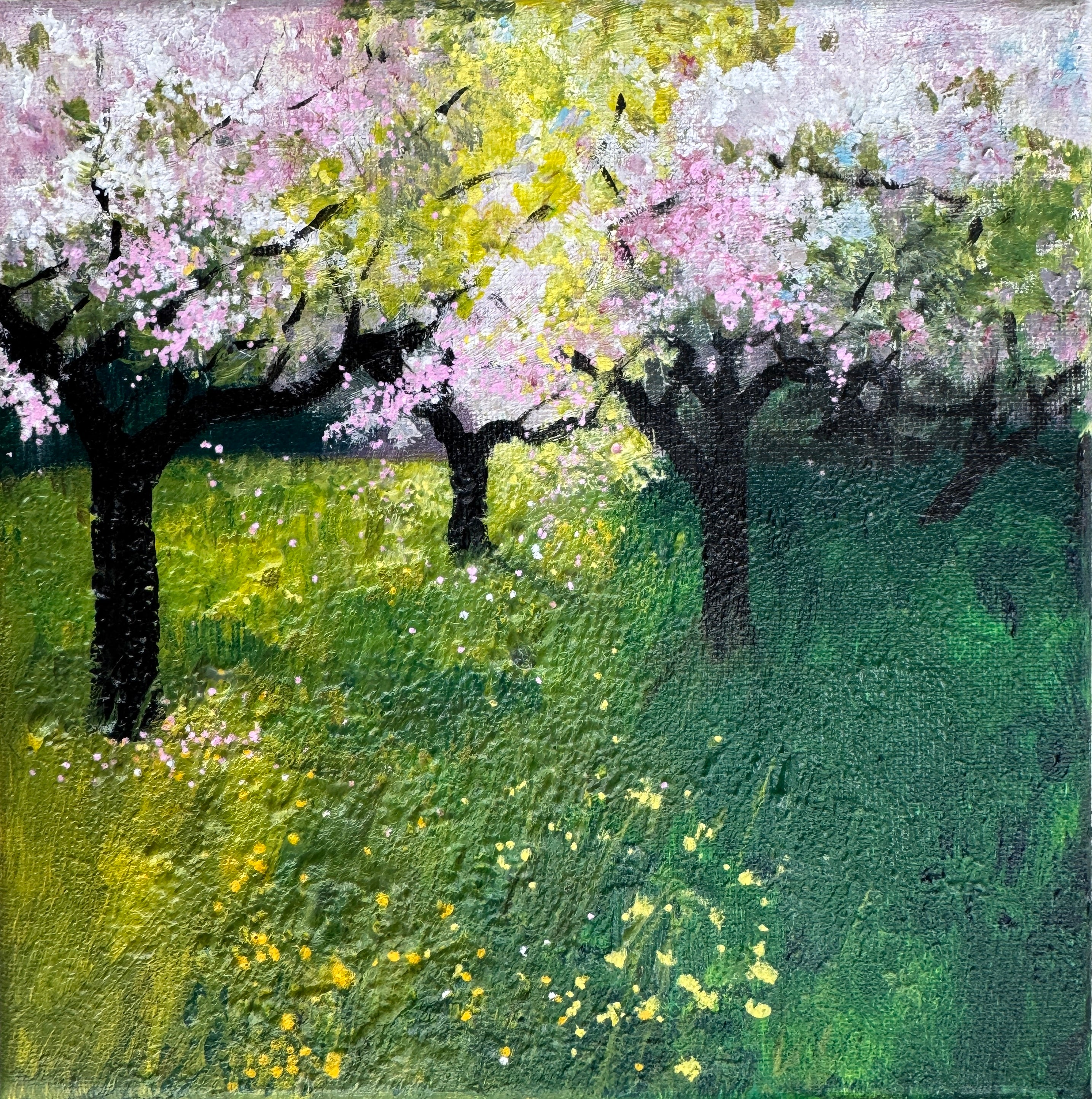 Pink & White Orchard Blossom