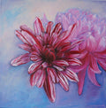 Pink and Red Chrysanthemums