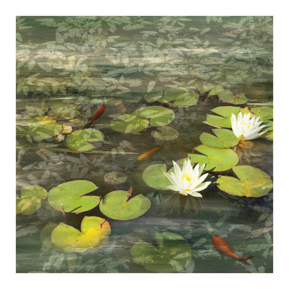 Pond Life