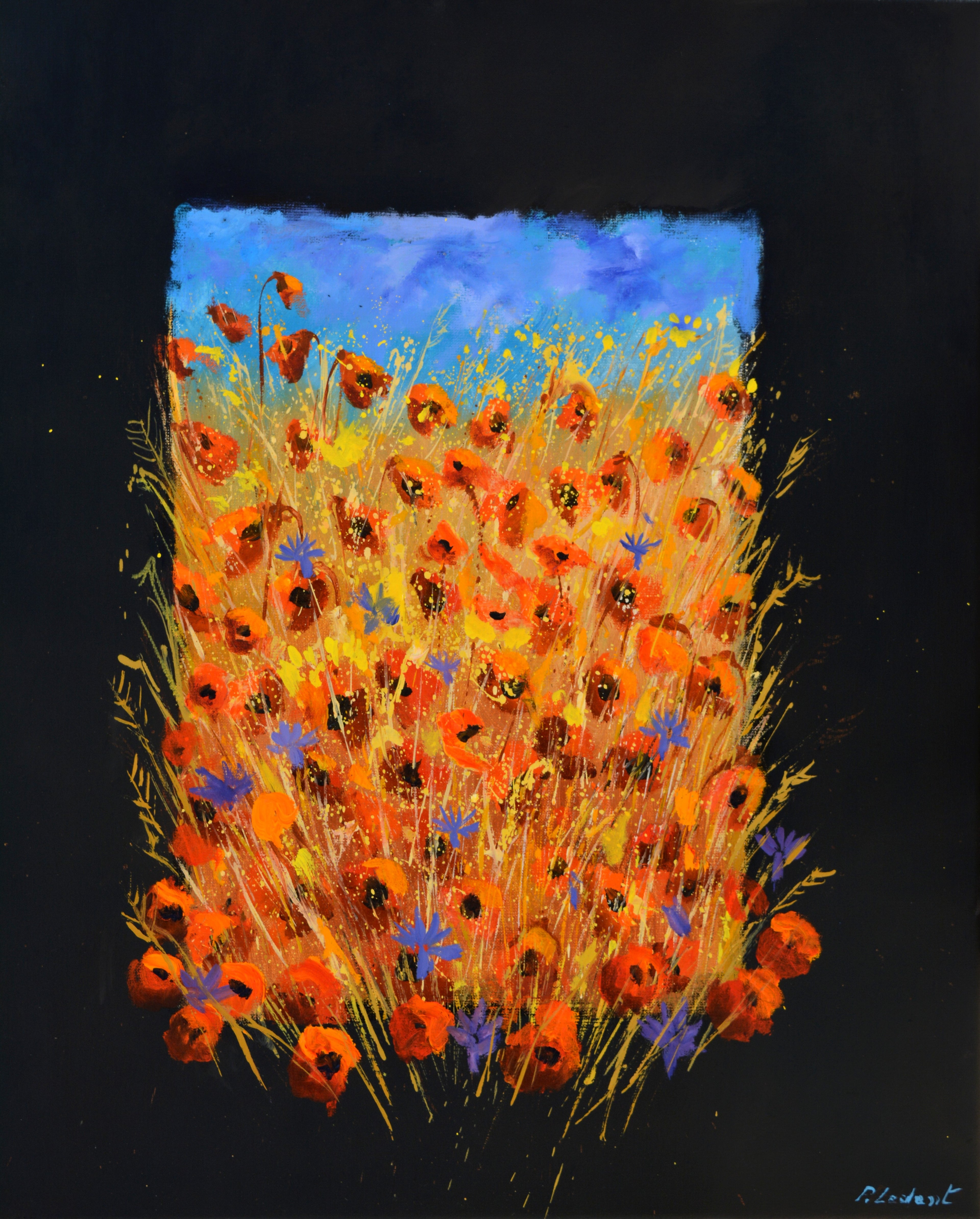 Red poppies