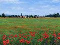Poppies Haxey North Lincolnshire