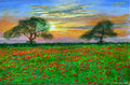 Poppies