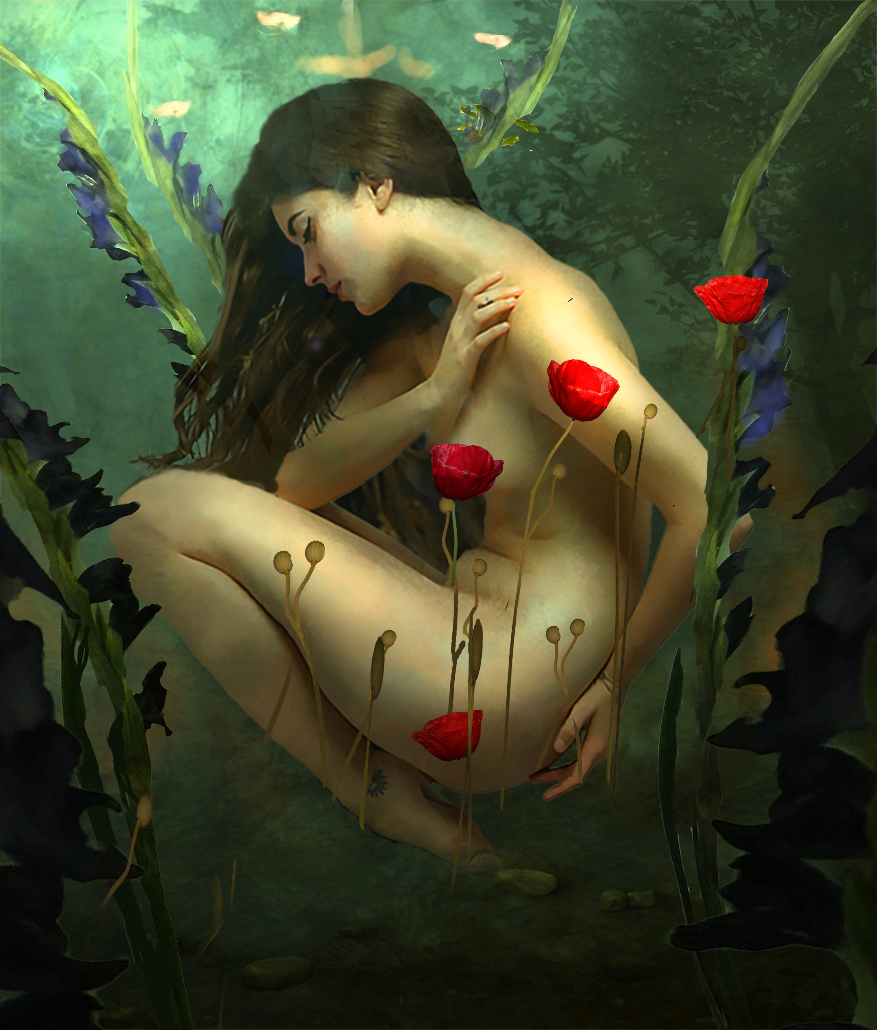 Poppies