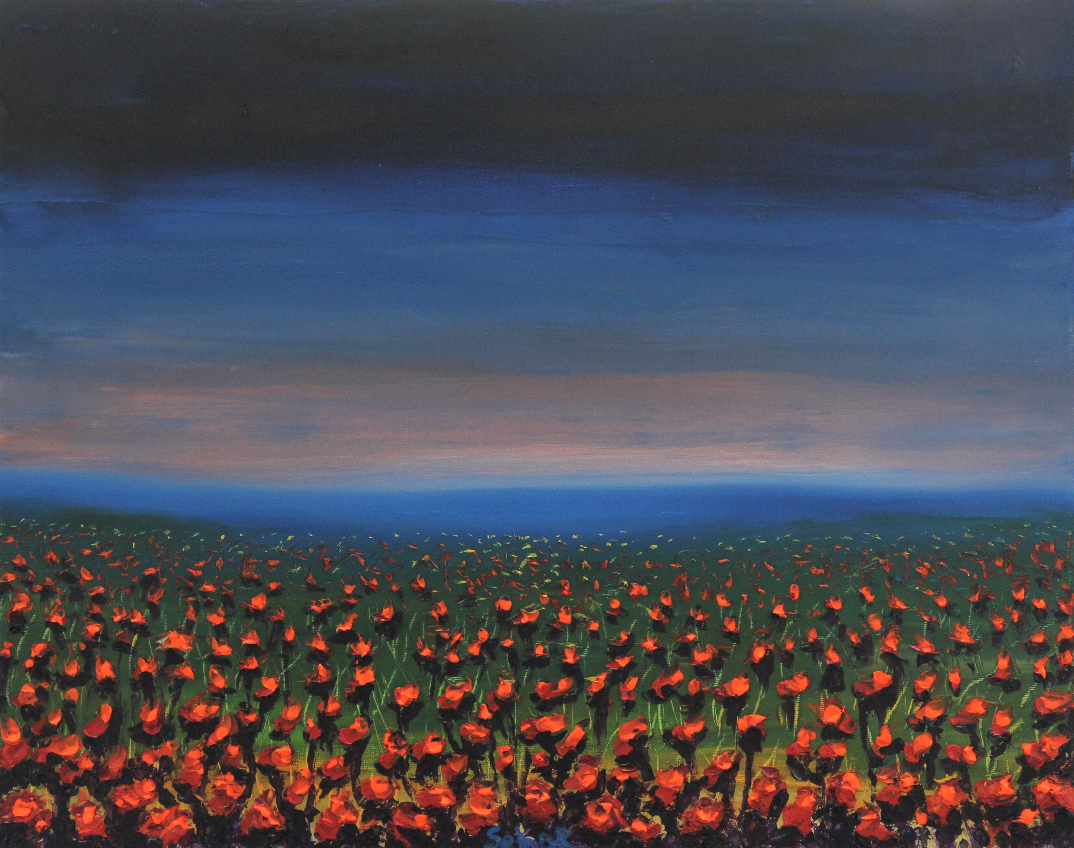 Poppy Field