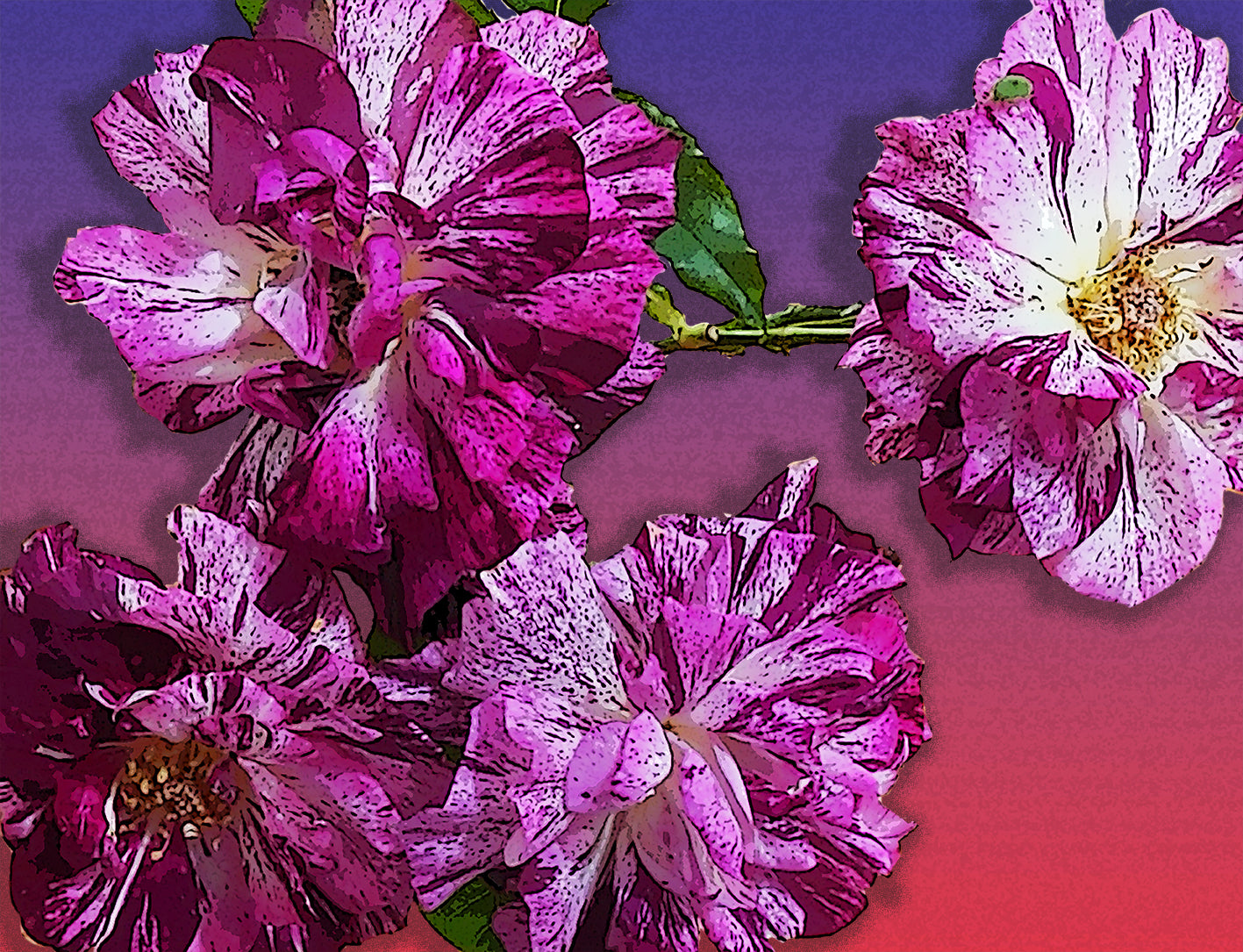 Abstract roses