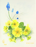 Grape Hyacinths and Primroses, yellow and blue spring flowers