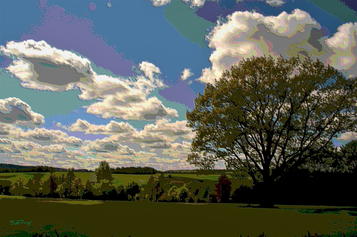 The Mighty Oak 2