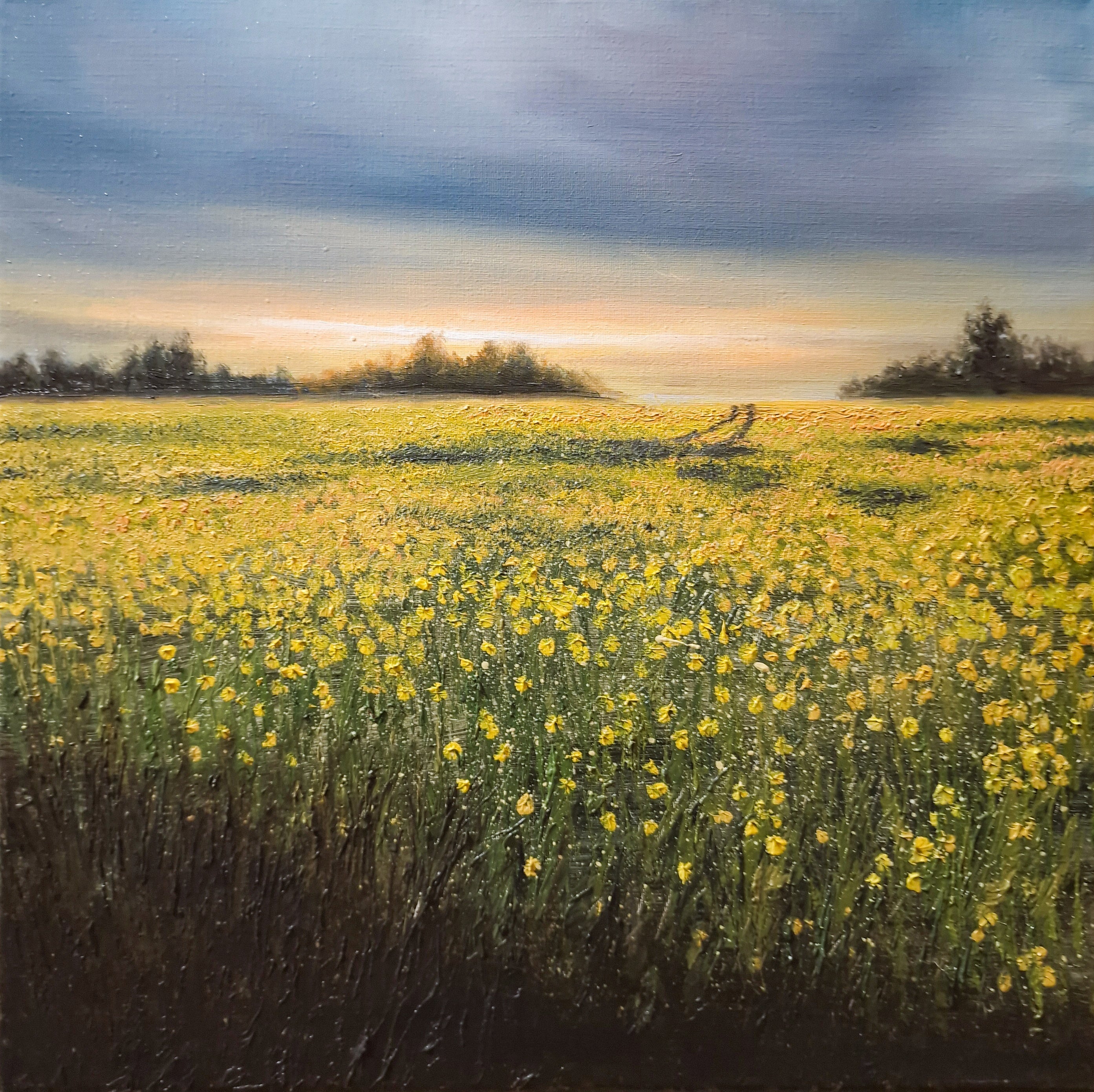 Fields of Gold