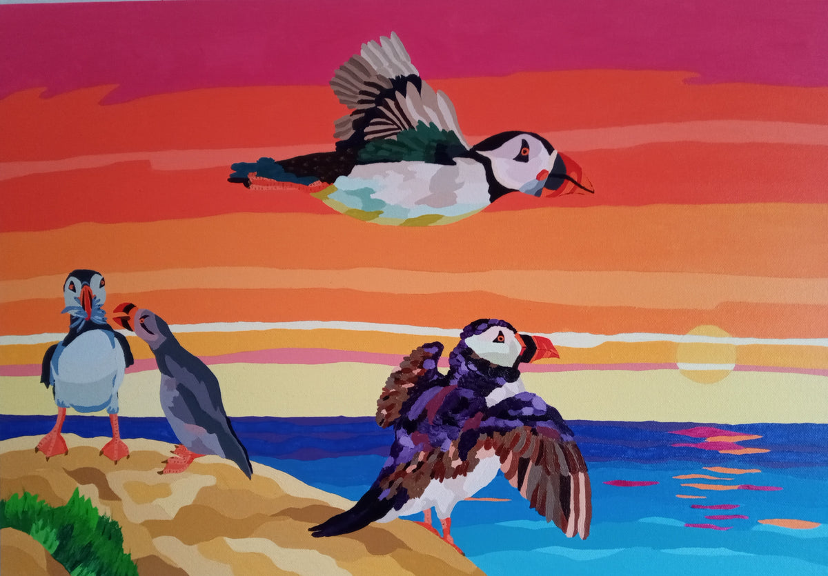 Circus of Puffins