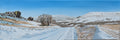 Snowy Cow & Calf Rocks