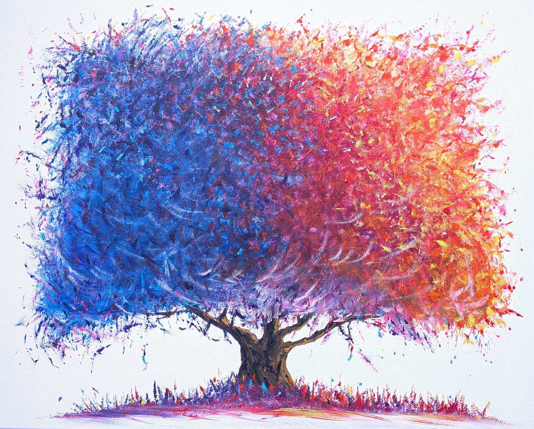 The Wise Old Oak