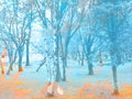 Walk in the woods - A3 - Limited edition photograph