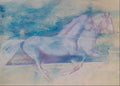 Racing horses