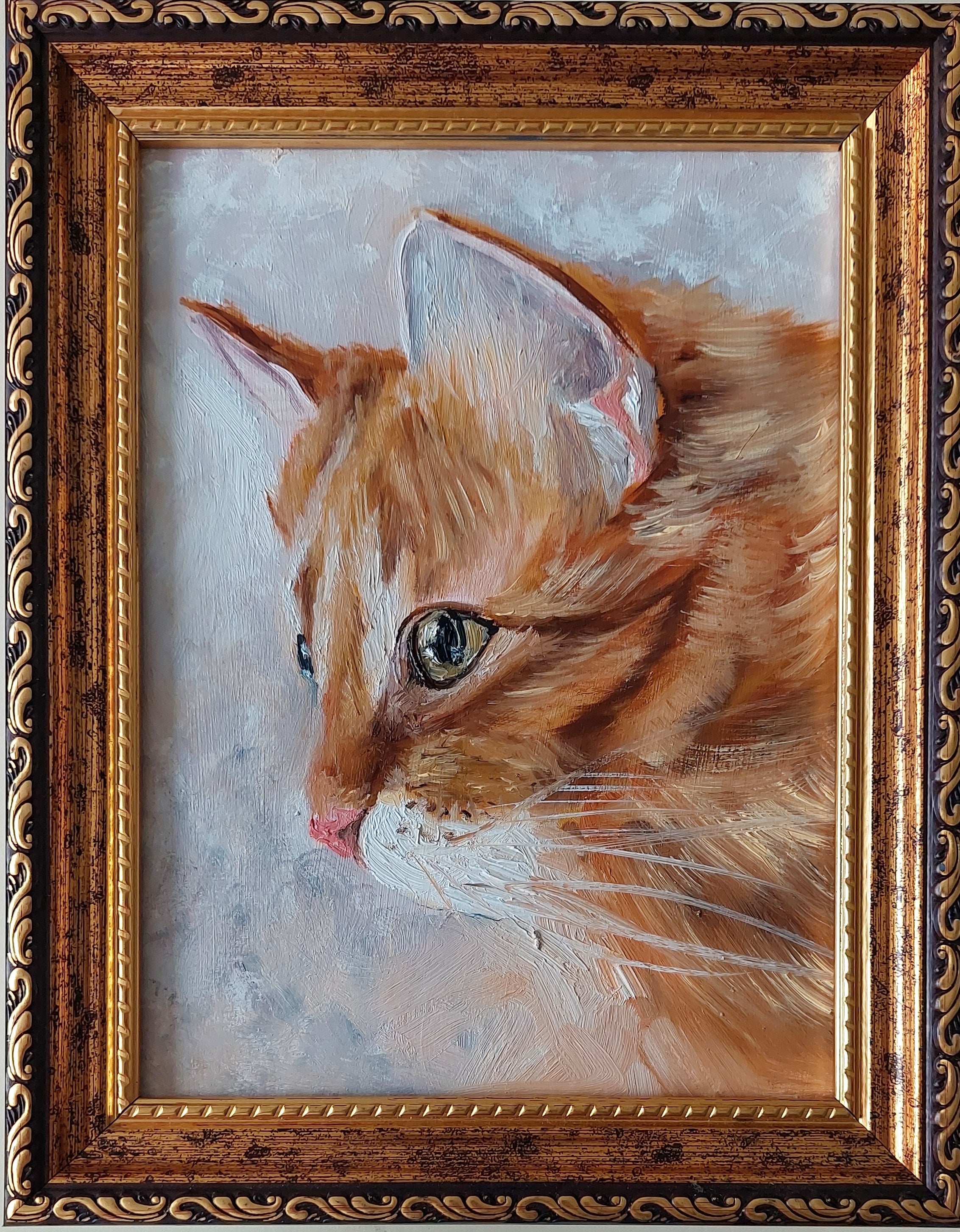Ginger Cat