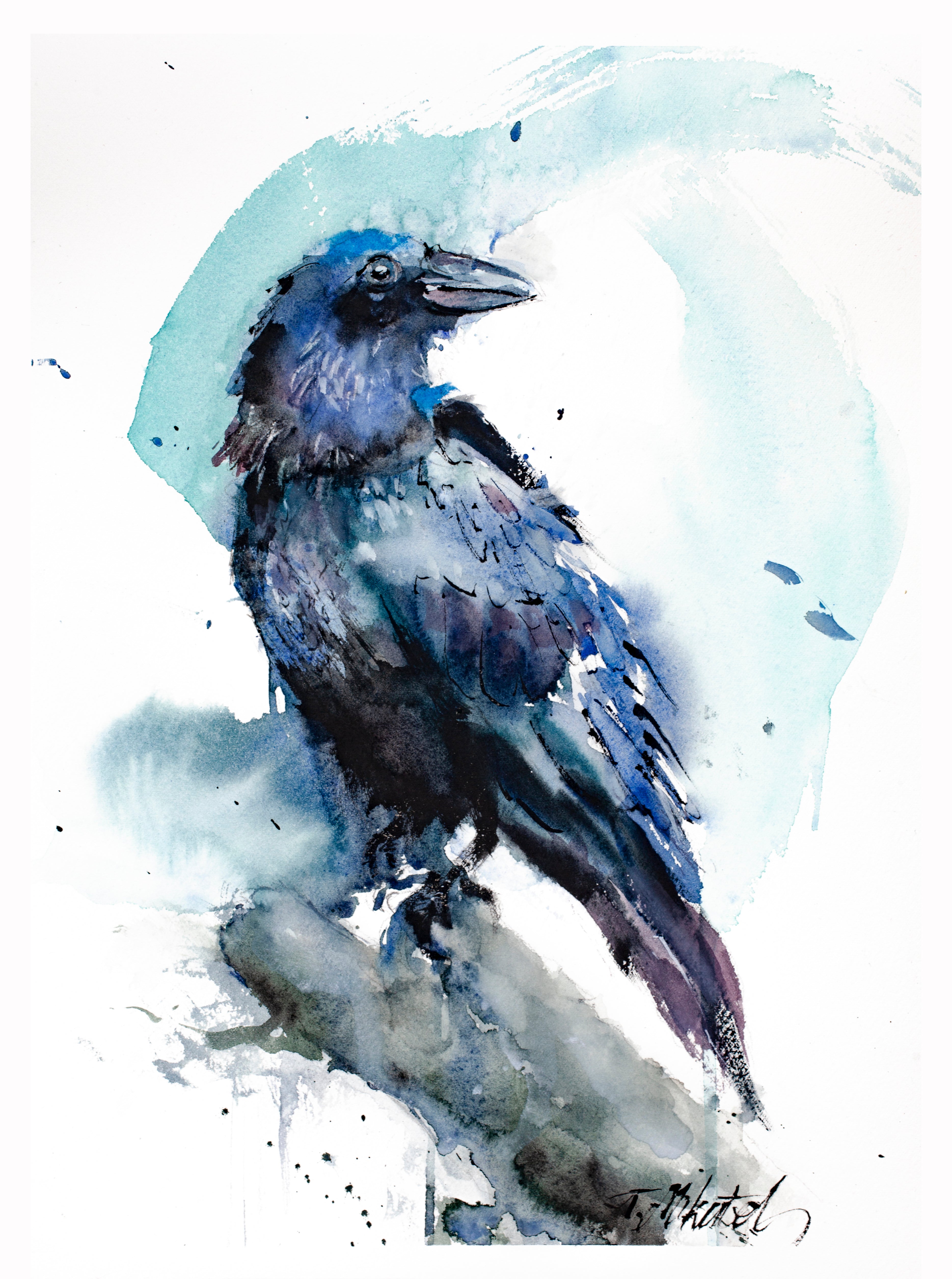 Raven V