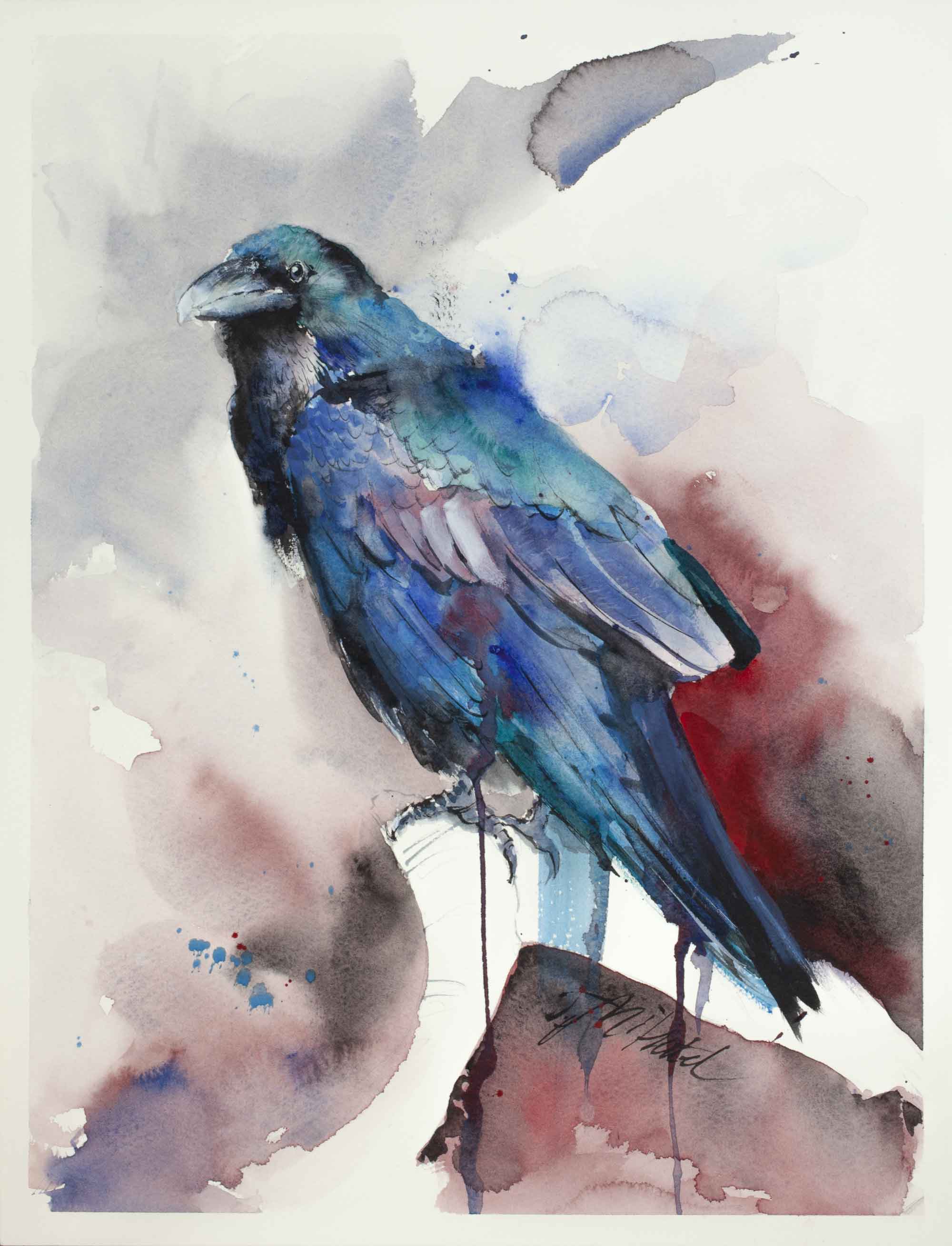 Raven VI