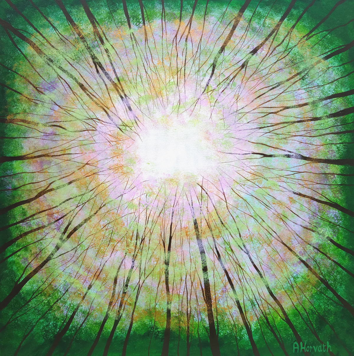 Reaching for the Light