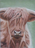 Coo-L Fringe