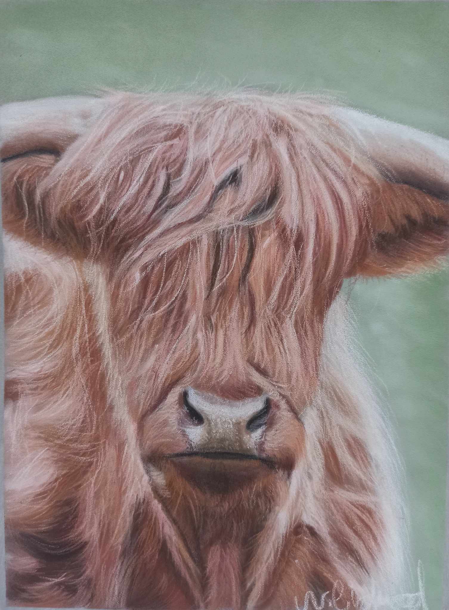 Coo-L Fringe