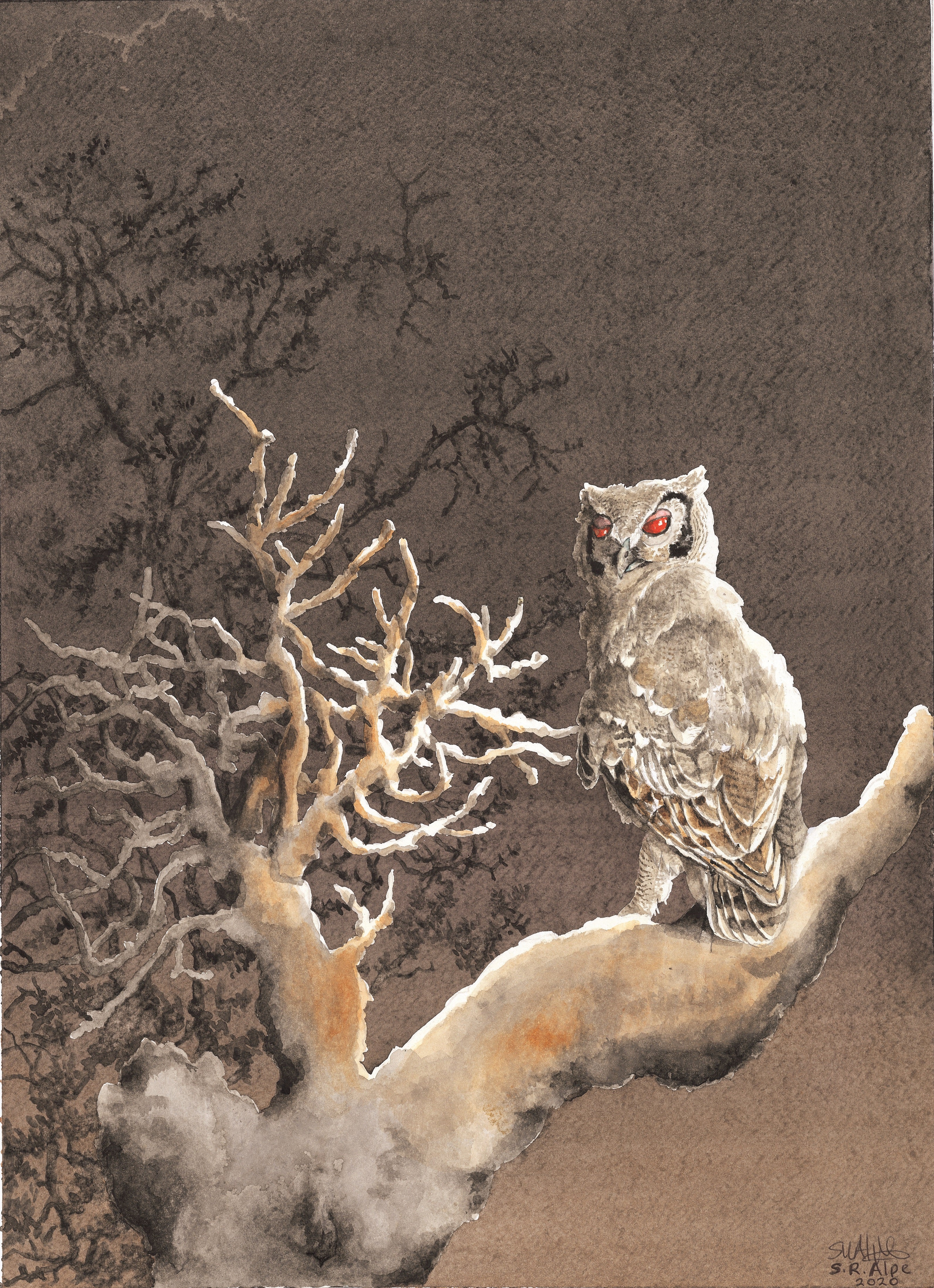 BUBO LACTEUS ON NIGHT WATCH