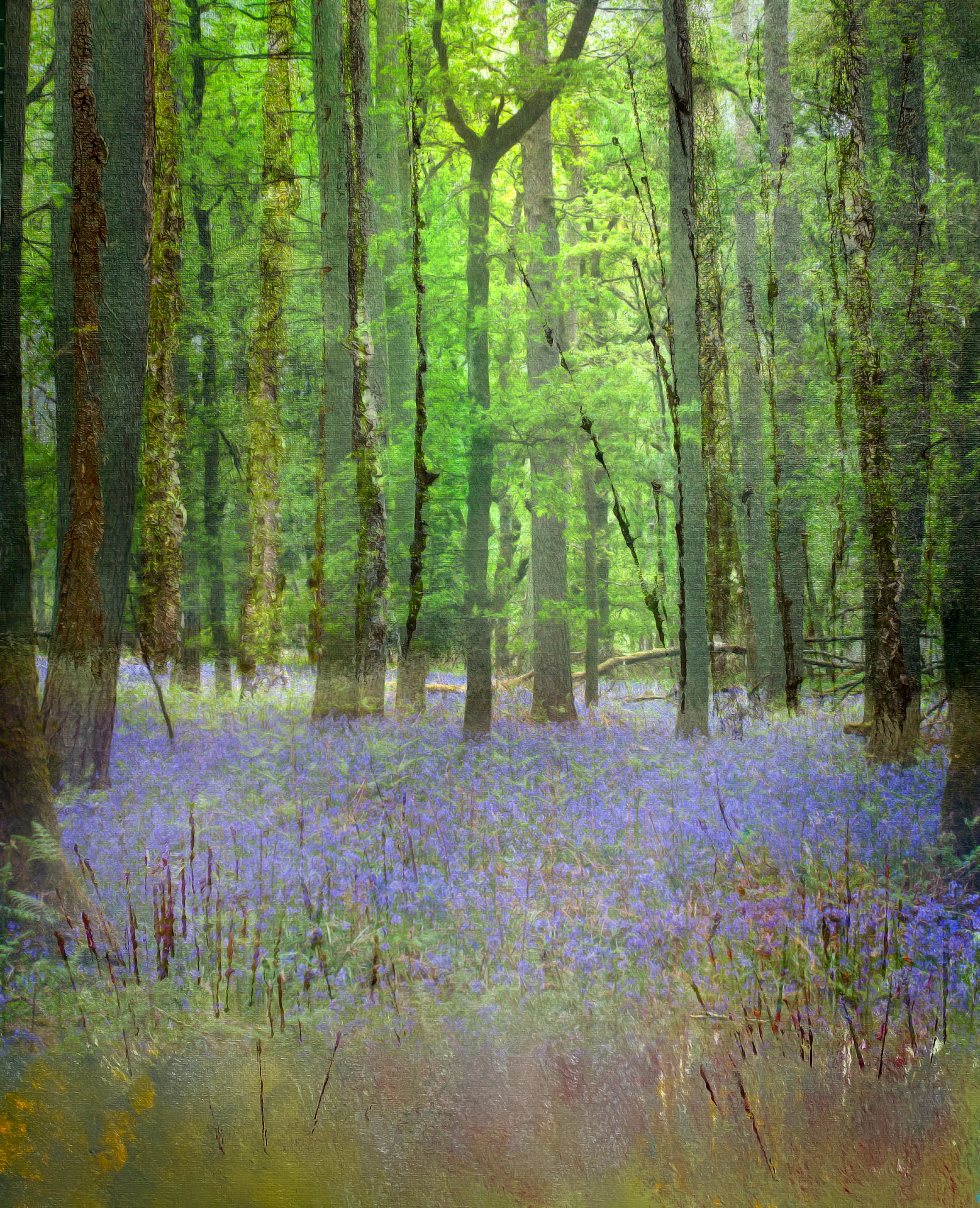 Return of the spring