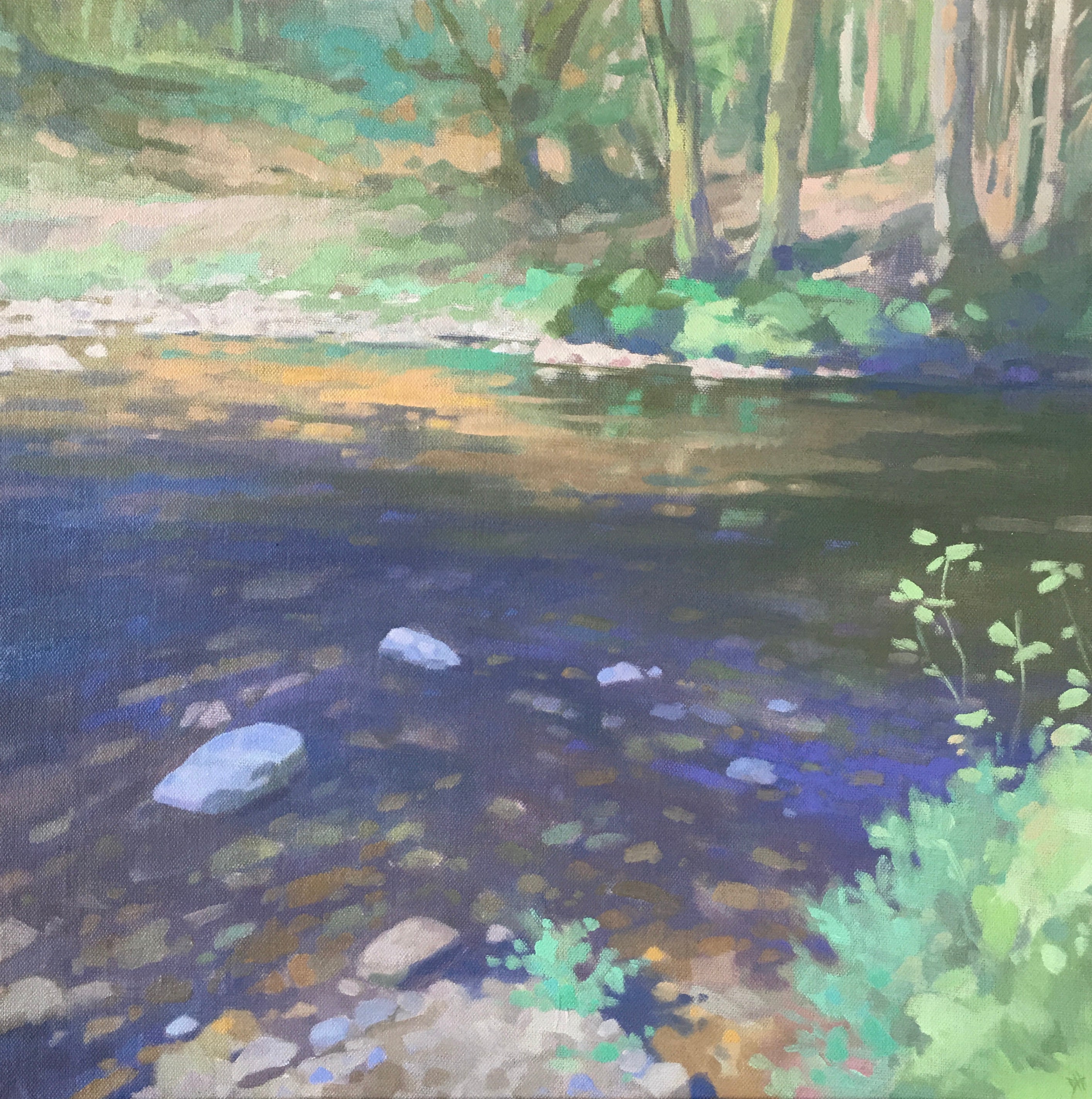 River Ely Riverbed