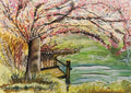 Riverside Blossom