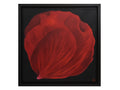 Rose Petal