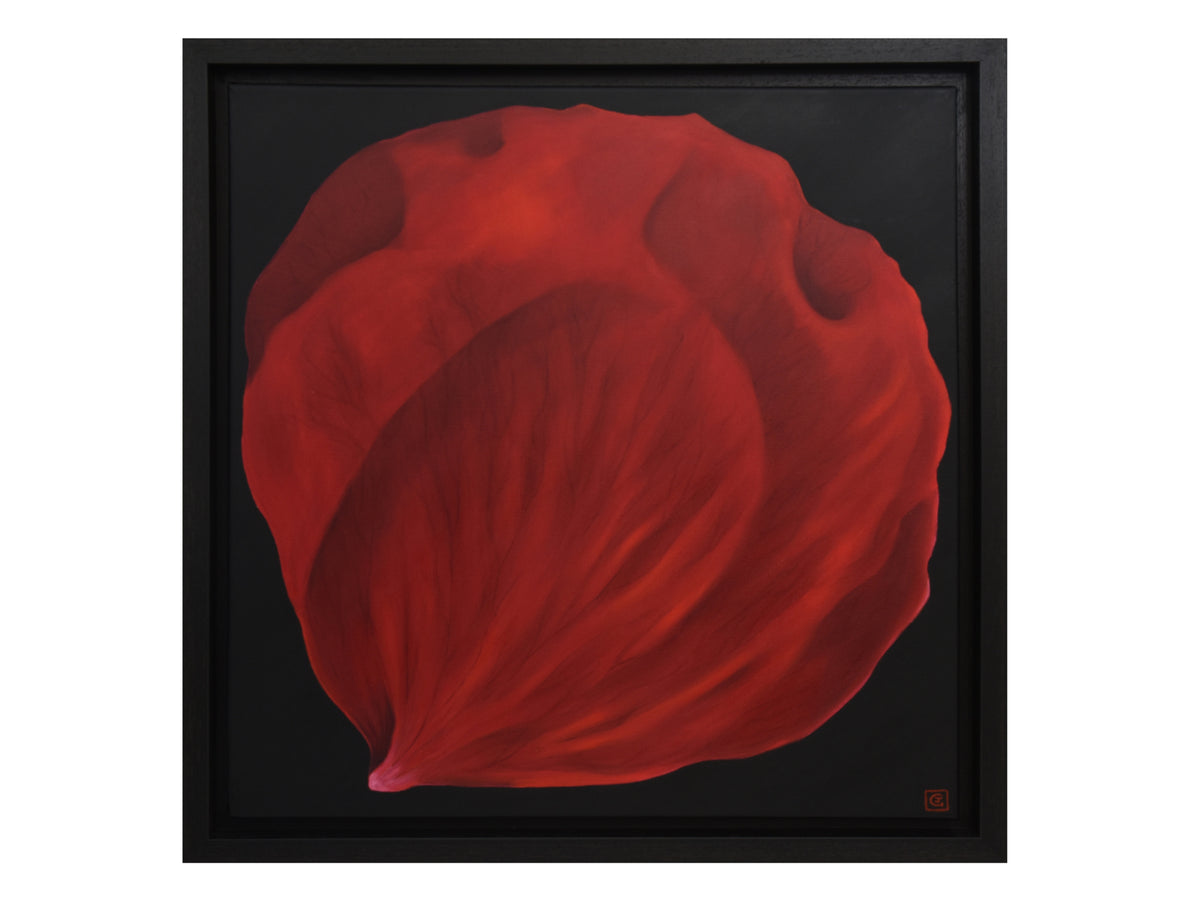 Rose Petal