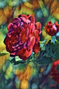 A Rose by any other name