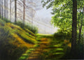 Woodland Glade