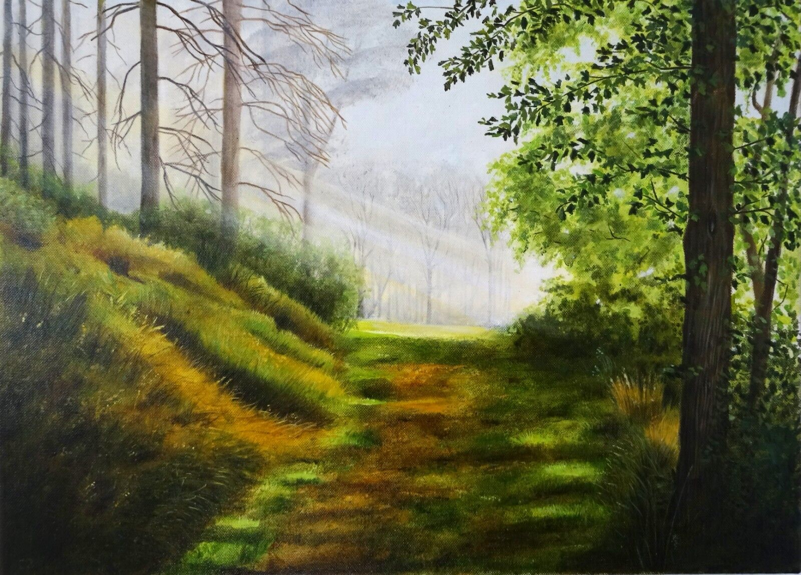 Woodland Glade
