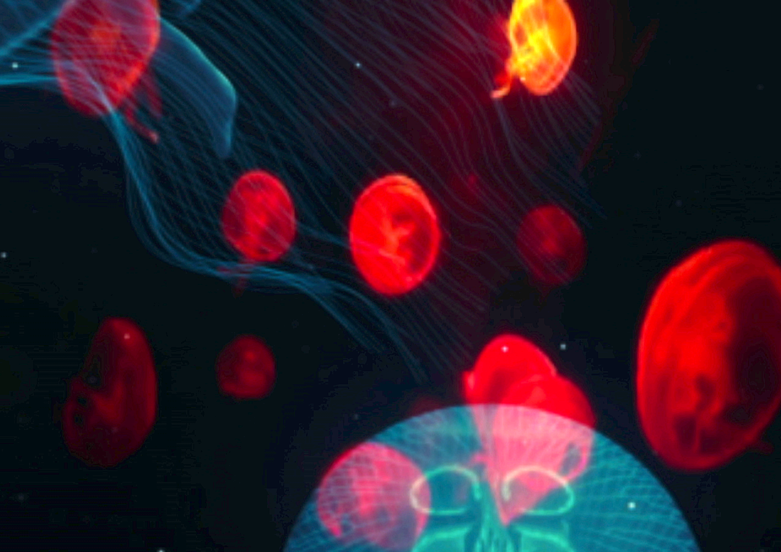 Save The Jellyfish 14