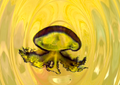 Save The Jellyfish 15