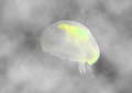 Save The jellyfish 18