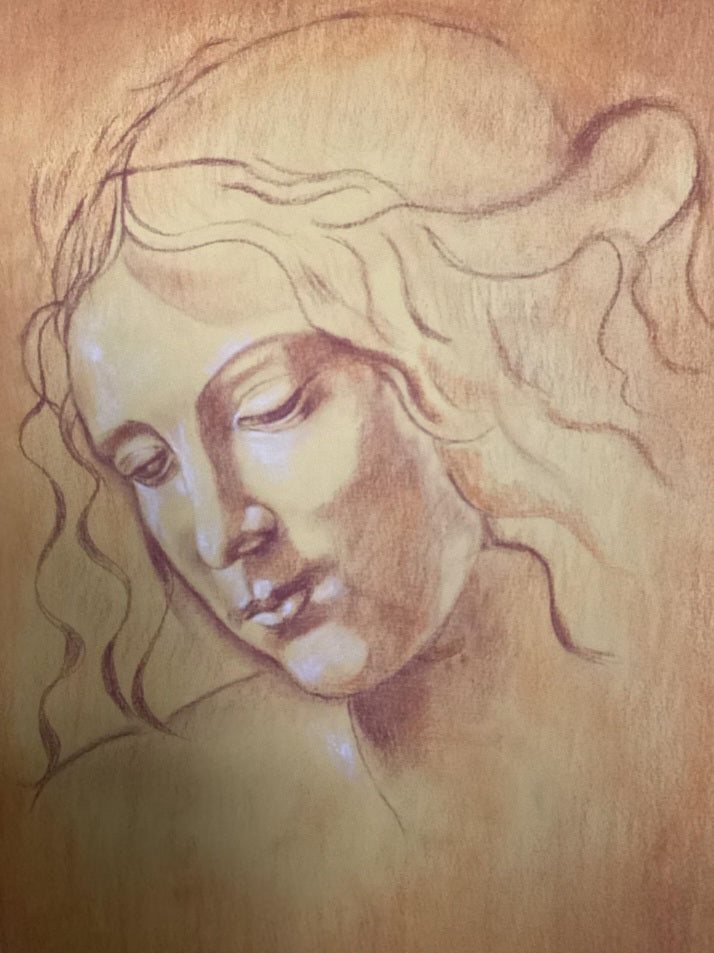 Homage to Leonardo 2