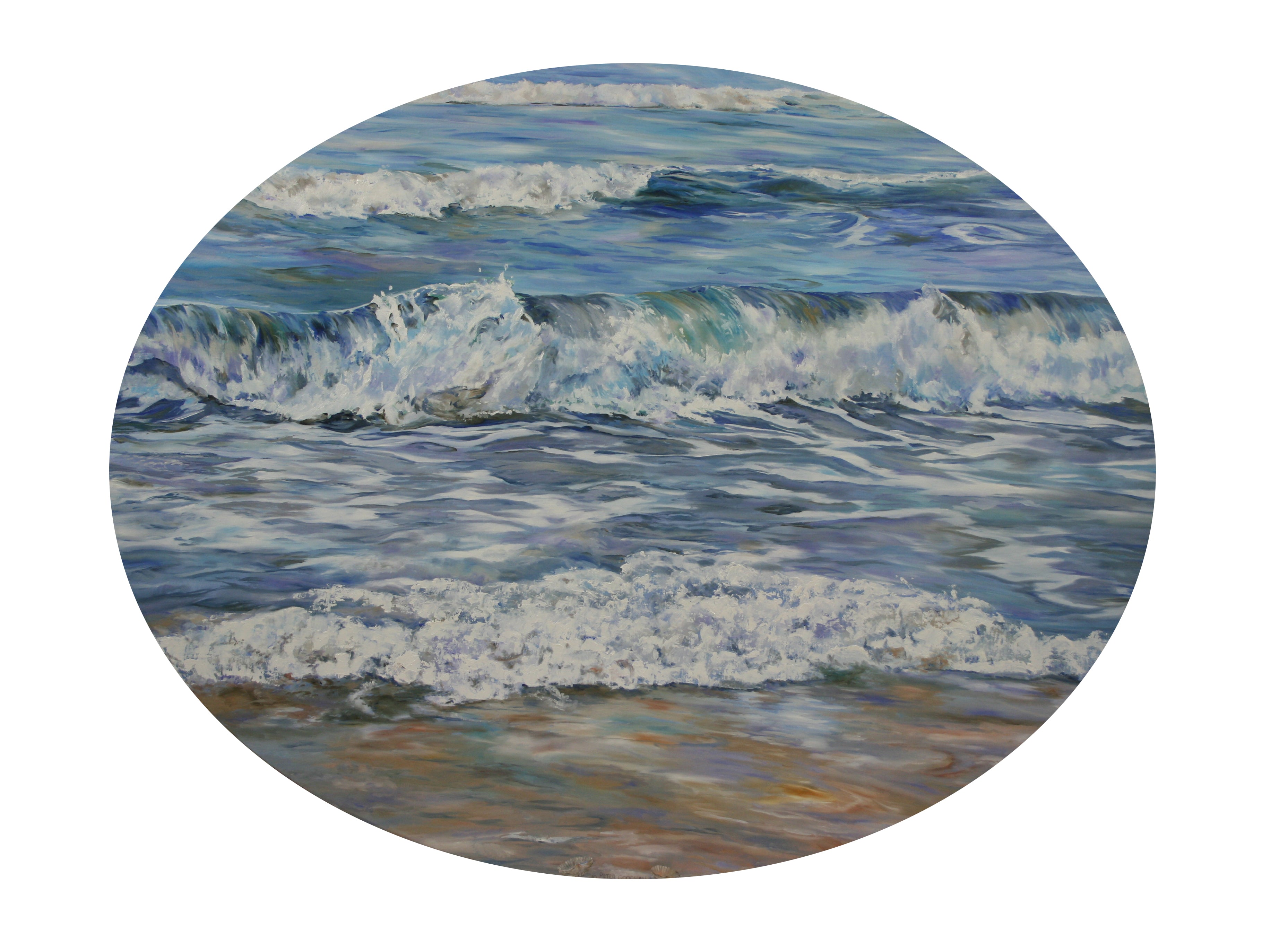 SEA SHELLS ON THE SEASHORE