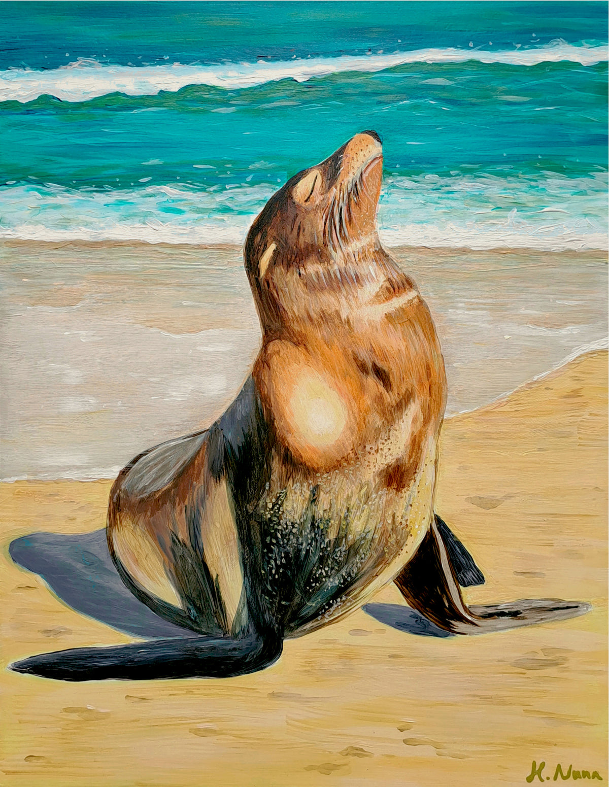 Sea lion enjoying the sun