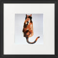 Seated Tortoiseshell Cat framed