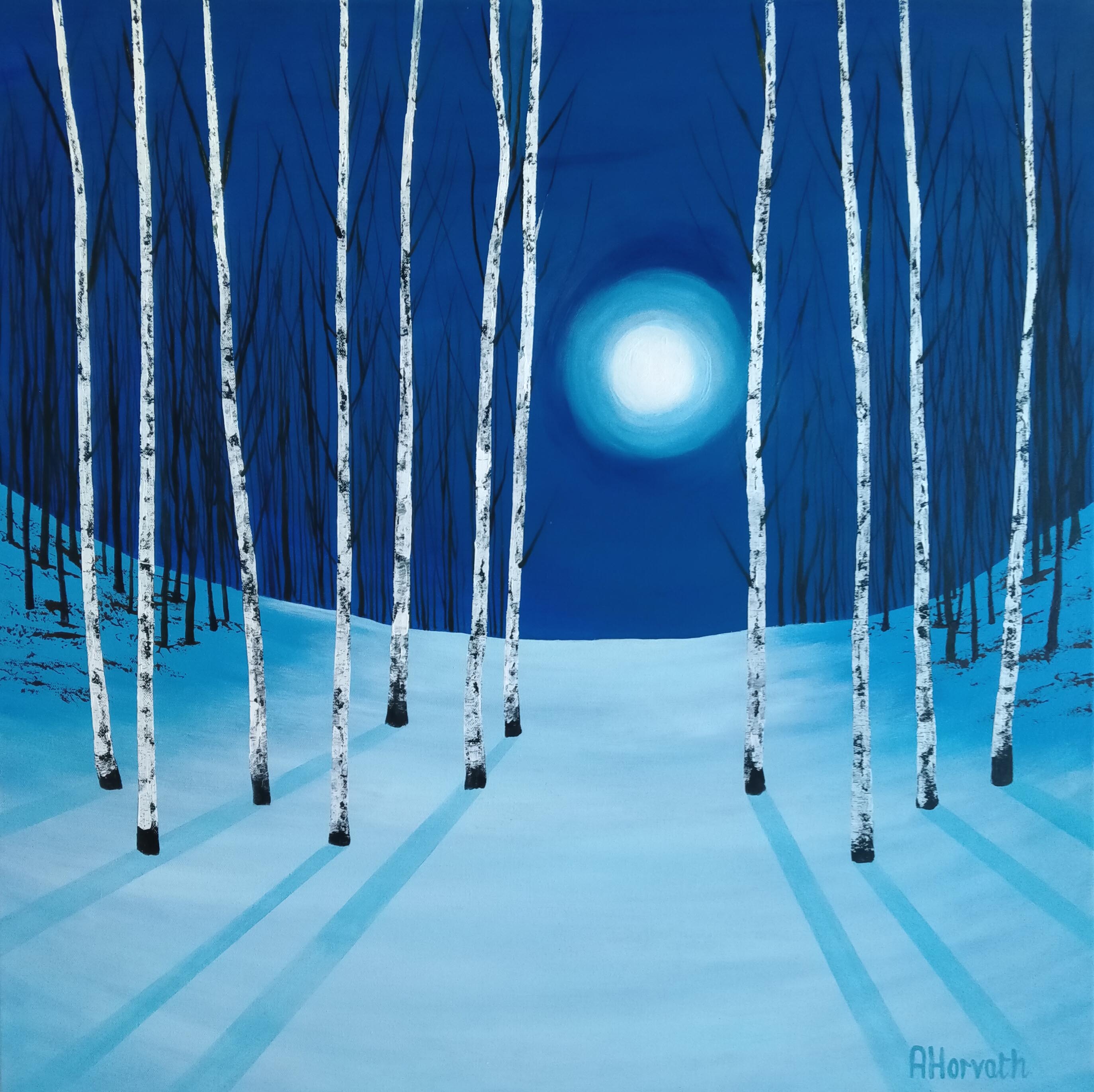 Shadows of the Moon
