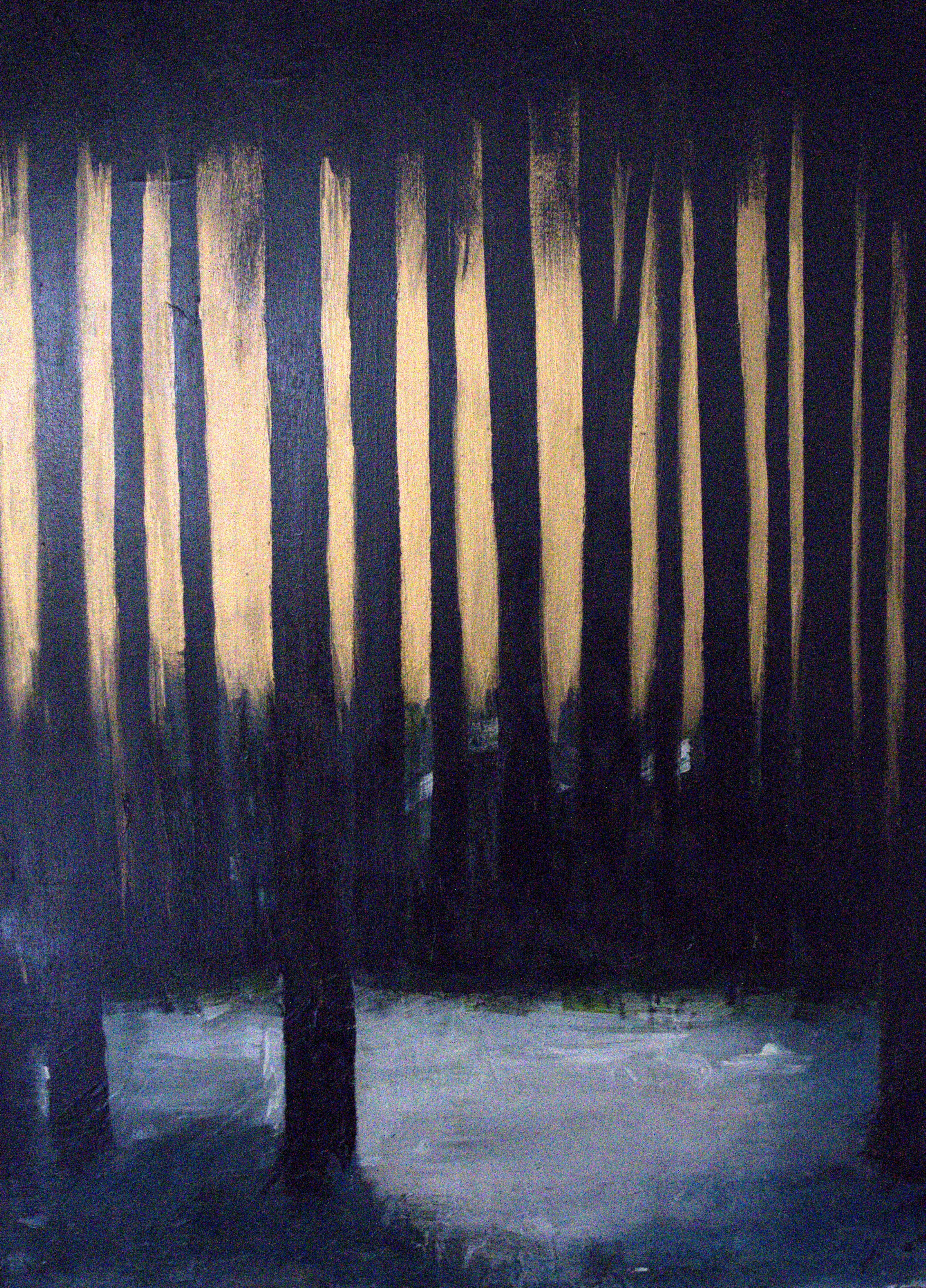 Silent Forest Glow