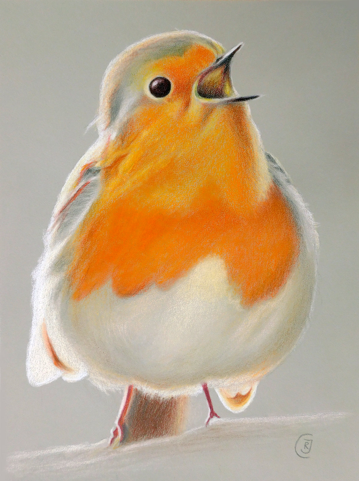 An Original Drawing of a Singing Robin, a bird portrait