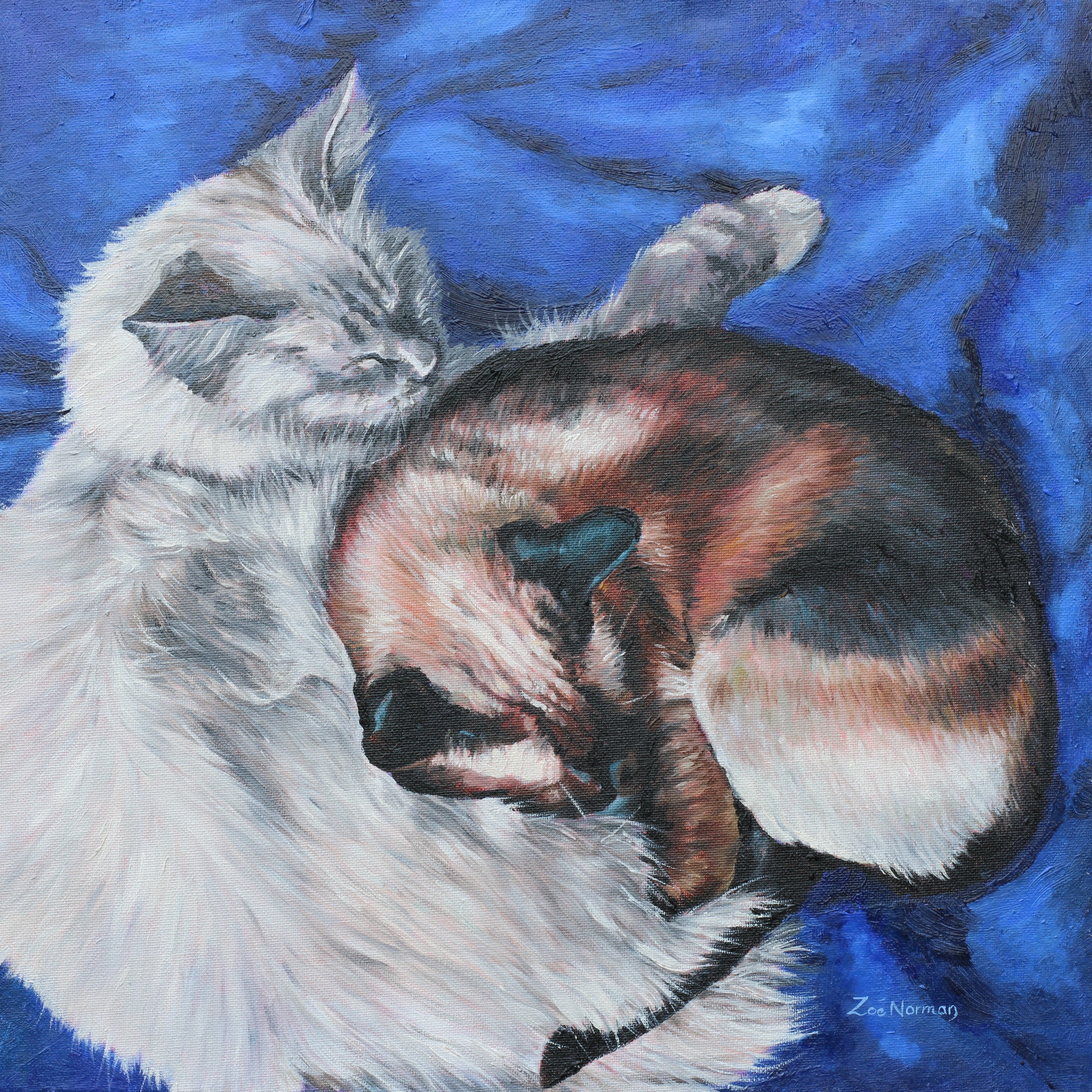 Sleeping Cats