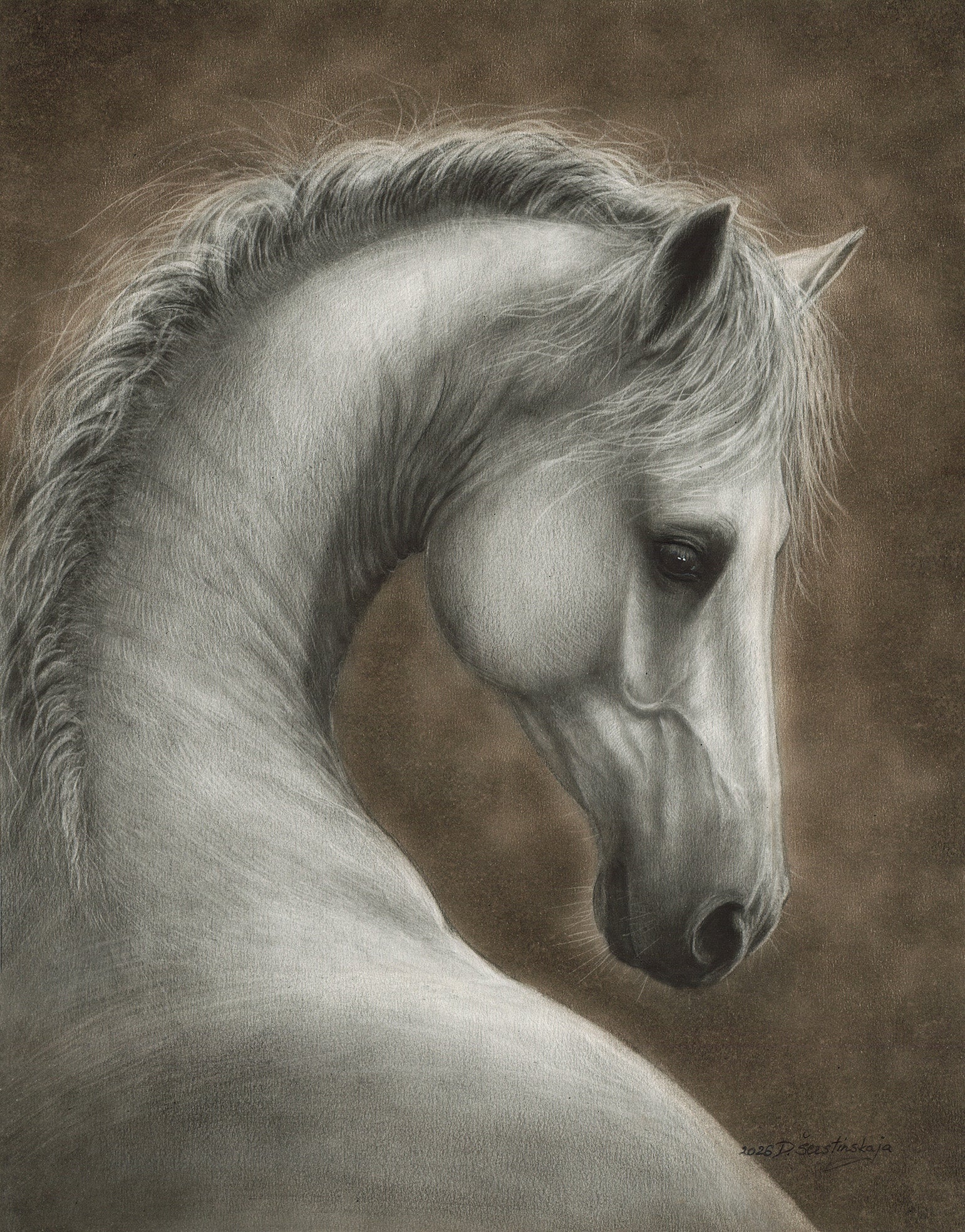 Silent Elegance