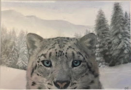 Snow Leopard